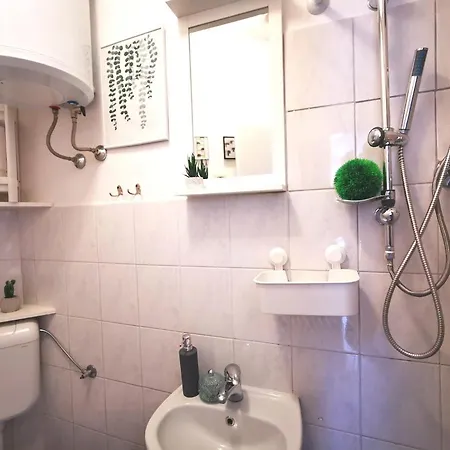 Roko In Apartamento *